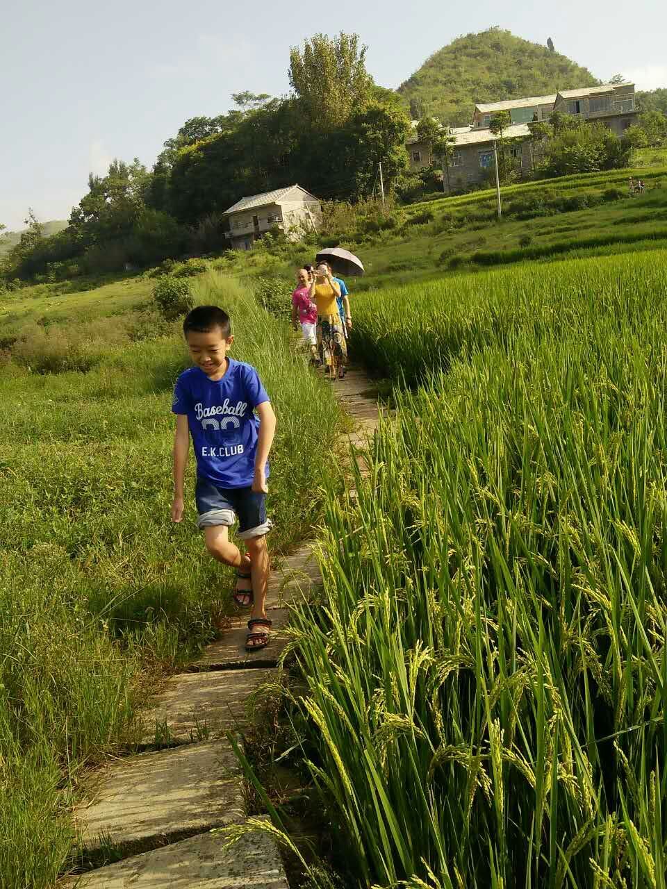 田間小小代.jpg