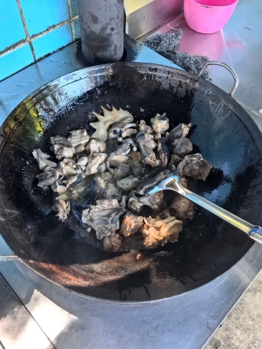 抓雞4(2)(2).jpg
